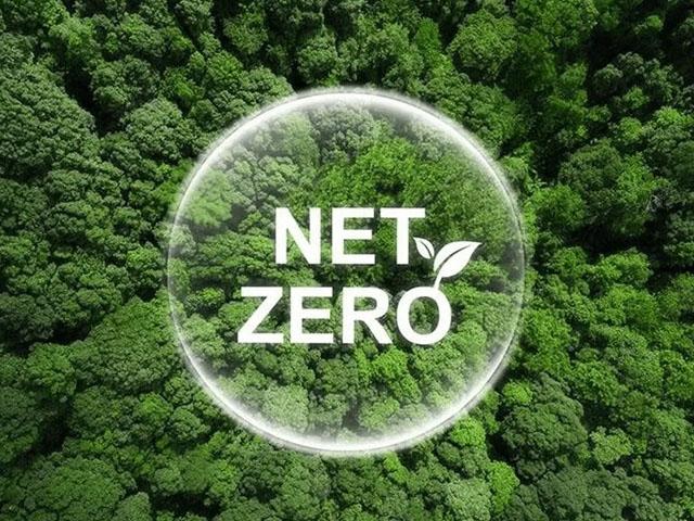 India's Net-Zero Path Could Unlock Millions of Green Jobs-If Skilling Gaps Are Bridged